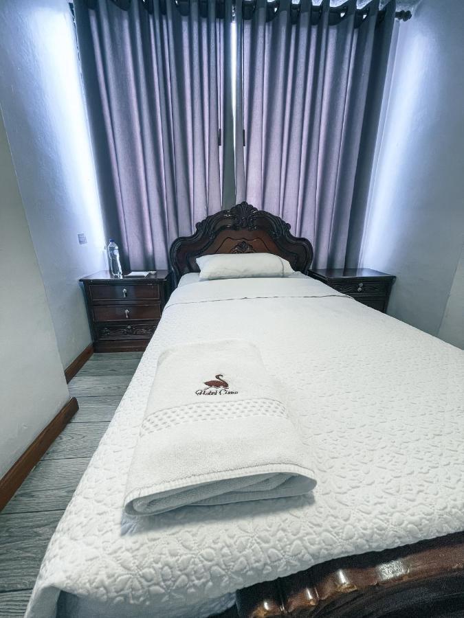 Hotel Cisne *